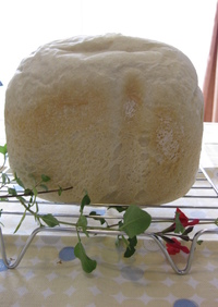 ゆっくり発酵パン