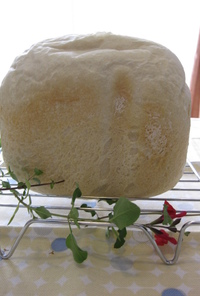 ゆっくり発酵パン