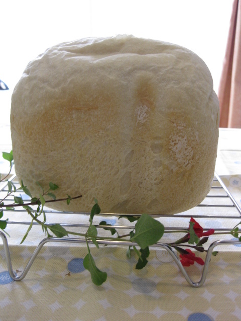 ゆっくり発酵パンの画像