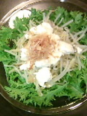 わさび菜もりもりカッテージチーズサラダ
