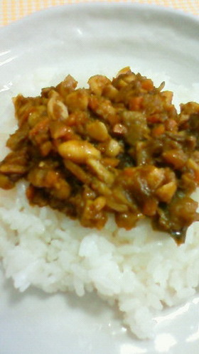コリコリ大豆ドライカレー