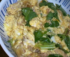とろとろ親子丼