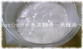 自家製☆大豆酵母-いきなり元種法-