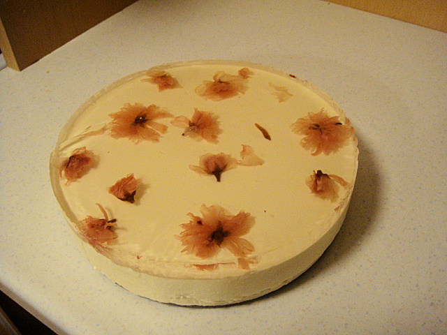 桜のレアチーズケーキの画像