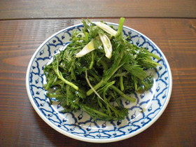 生でたべる春菊のサラダ