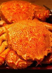 茹で蟹（かに・カニ）