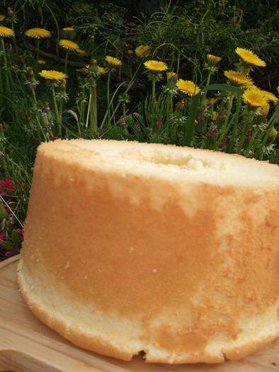 クリームチーズシフォン（２０ｃｍ）の写真