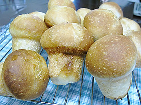 きのこパン
