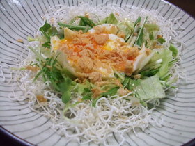 三種の緑黄野菜と半熟卵の巣ごもりサラダ