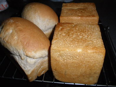 いちご酵母ミニ食パンの写真