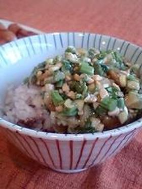 だし(刻み野菜と納豆のネバネバ丼)