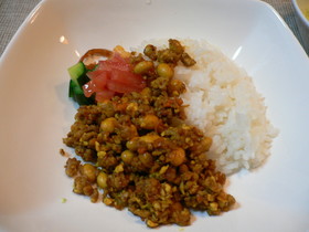 大豆と豆腐のヘルシードライカレー