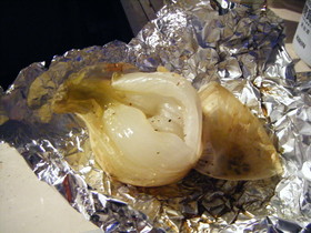 かんたんアウトドア丸焼きレシピ