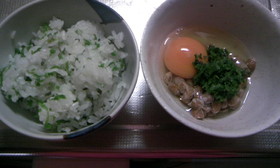 こしあぶら御膳♪♬♪♬春らんらんです!