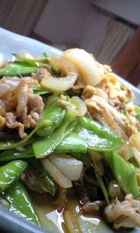 絹さや・玉ねぎ・豚肉のオイスター醤油炒め