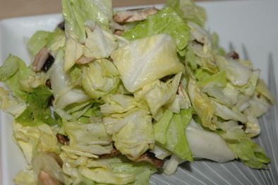 パルミジャーノ味☆キャベツのサラダの写真