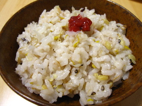 梅もやしごはん