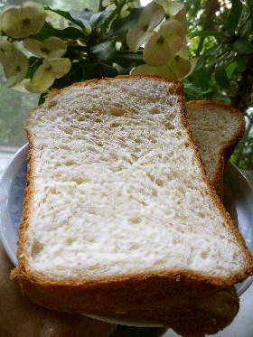 カスタード風味のホームベーカリー食パンの画像