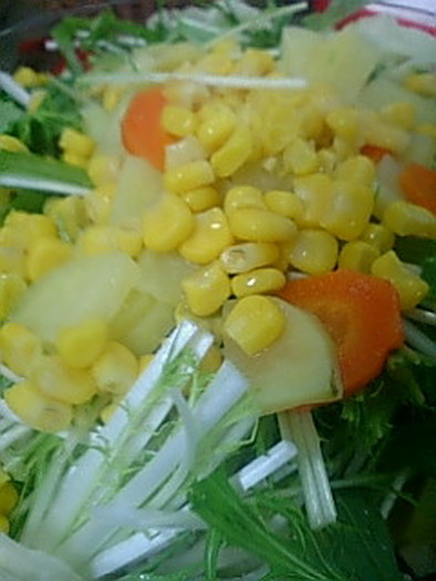 カラフルサラダの写真