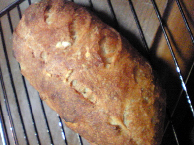 ライ麦全粒粉のハードソフトなパンの写真