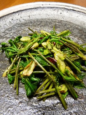 こしあぶらの油炒め(塩麹orナンプラー)