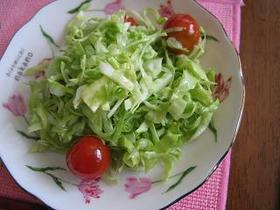 作り置き コールスローサラダ