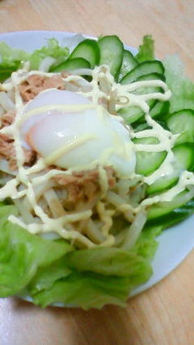 温たまのっけサラダうどん