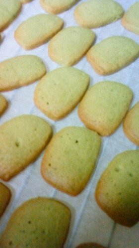 抹茶のさくさくクッキー