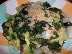 簡単!白菜とわかめとシーチキンのおひたし