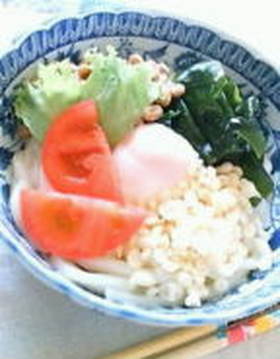 ねばねば★ぶっかけうどん