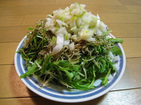 カリカリじゃこと水菜のシャキシャキサラダ