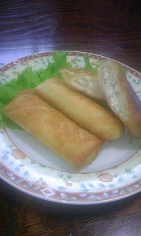 豆腐春巻き