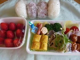 幼稚園の親子遠足弁当