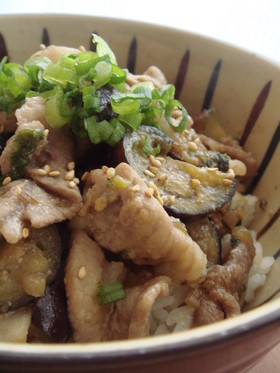 ✿豚と茄子のピリ辛!!コク旨♡味噌丼✿