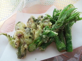 山菜シリーズ サクっと山菜の天ぷら