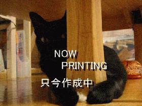 皮をぱりっ!とソーセージ