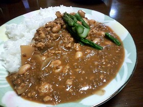 豆腐と大根のカレー