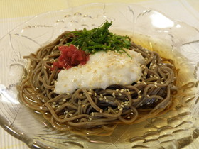冷やし◇梅しそ◇とろろそば