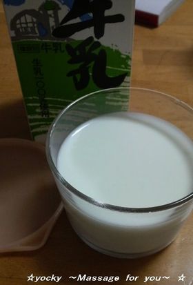 手作りケフィアヨーグルト