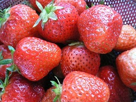 自家製イチゴピューレ