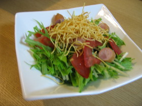 揚げ麺deパリパリサラダ
