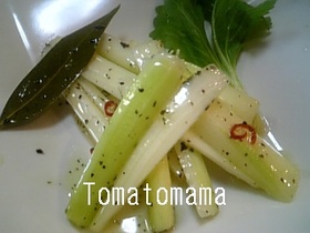 酢テキ♡ セロリオイル漬け