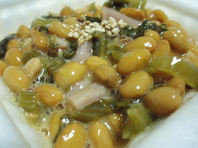 止まらない~黄金ペア☆高菜・塩辛納豆!!