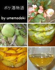★木瓜(ボケ)酒の写真