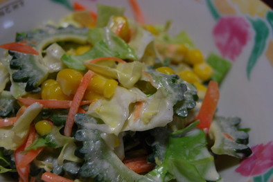 初夏！野菜たっぷりコールスローサラダの写真