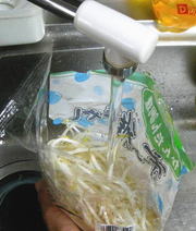 もやしの洗い方の写真