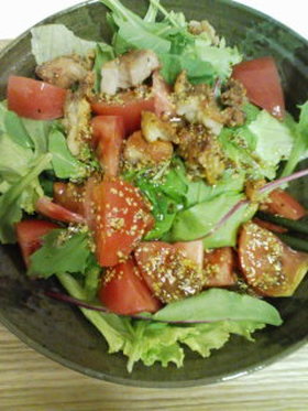 チキンのごちそうサラダ