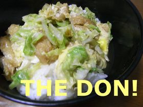 乗り切れ給料日前!節約キャベツ丼!