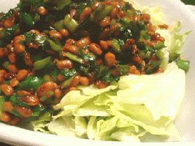 生レタスの納豆ソースがけ。