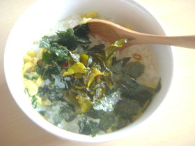 辛子高菜でピリ辛スープ飯